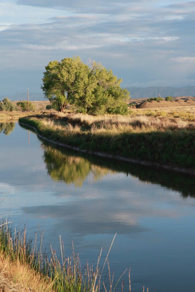 The Government Highline Canal in Colorado's Grand Valley