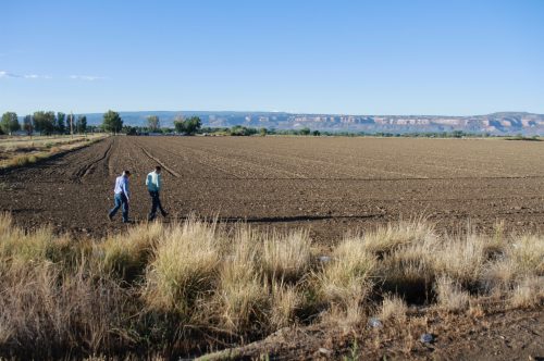 Mark Harris and Luke Gingerich stand in a fallowed field near Grand Junction, Colorado