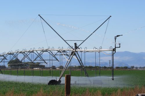 A center pivot irrigates a field in the San Luis Valley. Tensions have been high in the valley since Front Range developers proposed moving water out of the valley to metro Denver. Fresh Water News, along with PBS documentary series This American Land, traveled to the valley as part of a new partnership. Credit: Jerd Smith