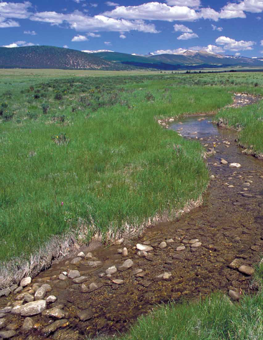 Simply Irreplaceable Wetlands Water Education Colorado