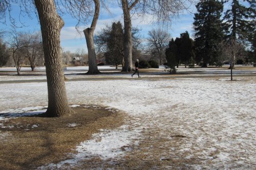 A woman jogs in Denver's City Park Jan. 23, 2019. Though statewide snowpacks have improved, the metro area actually slipped back into drought in December due to a lack of snow. Credit: Jerd Smith