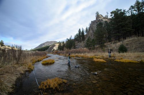 Colorado Parks and Wildlife workers conduct an assessment on the North Fork of the Poudre River. Credit: Colorado Parks and Wildlife