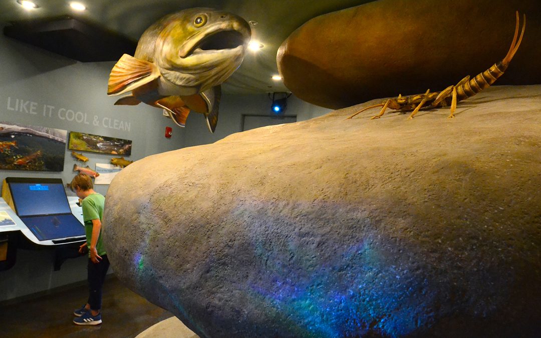 Watch out for that trout! New interactive Winter Park museum gives life to Colorado River headwaters