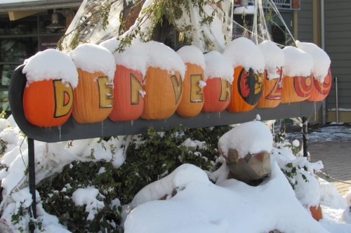 Snow-covered pumpkins welcome visitors to the Denver Zoo on Oct. 29, 2019. The Zoo is one of the agencies that has installed Gutter Bins to filter its stormwater. Credit: Jerd Smith