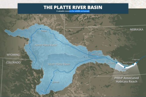 The three-state Platte River Recovery Implementation Program was reauthorized by Congress and President Trump at the end of the year in a rare show of bi-partisan support for species conservation. Credit: PRRIP