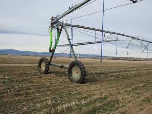 An irrigation system known as a center pivot sprinkler sits in a field near Longmont, Colo. The systems have helped Colorado use its farm water more efficiently, but state use still exceeds the national average. Credit: Jerd Smith