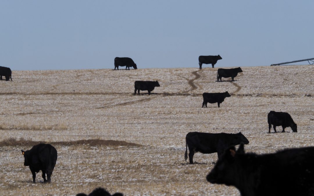 Farms use 80% of the West’s water. Some in Colorado use less, a lot less