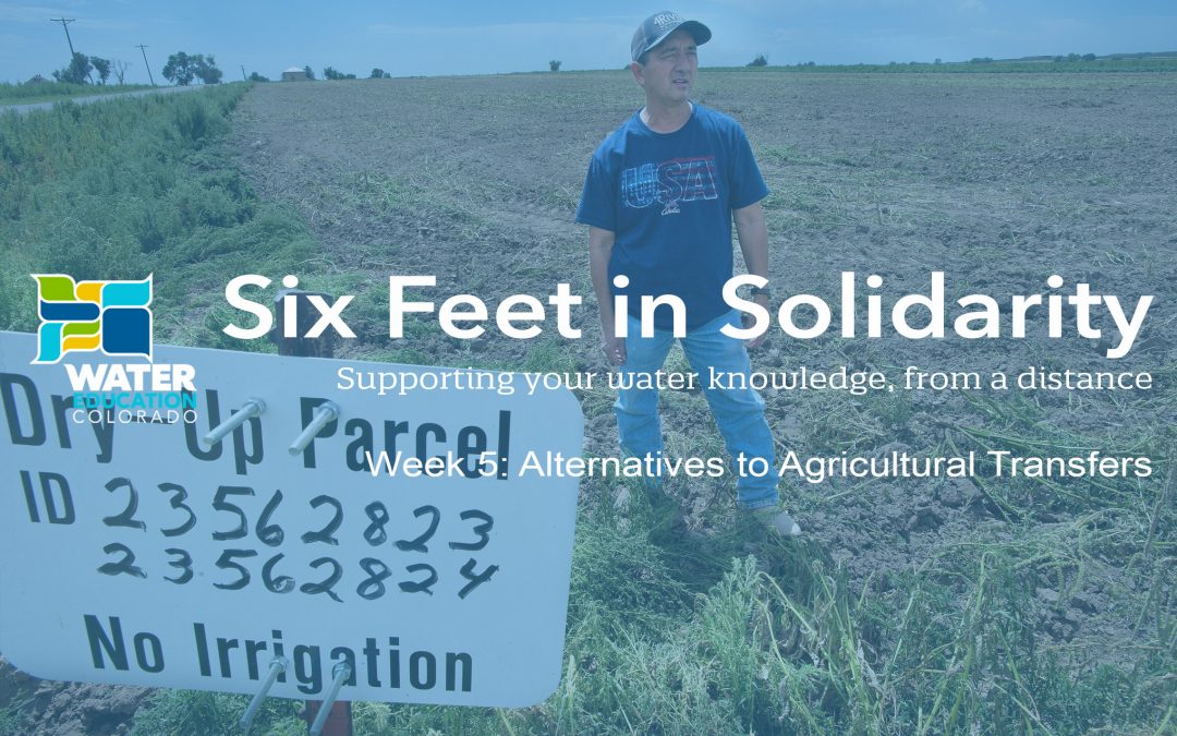 Six Feet in Solidarity – Week 5: Alternatives to Ag Transfers