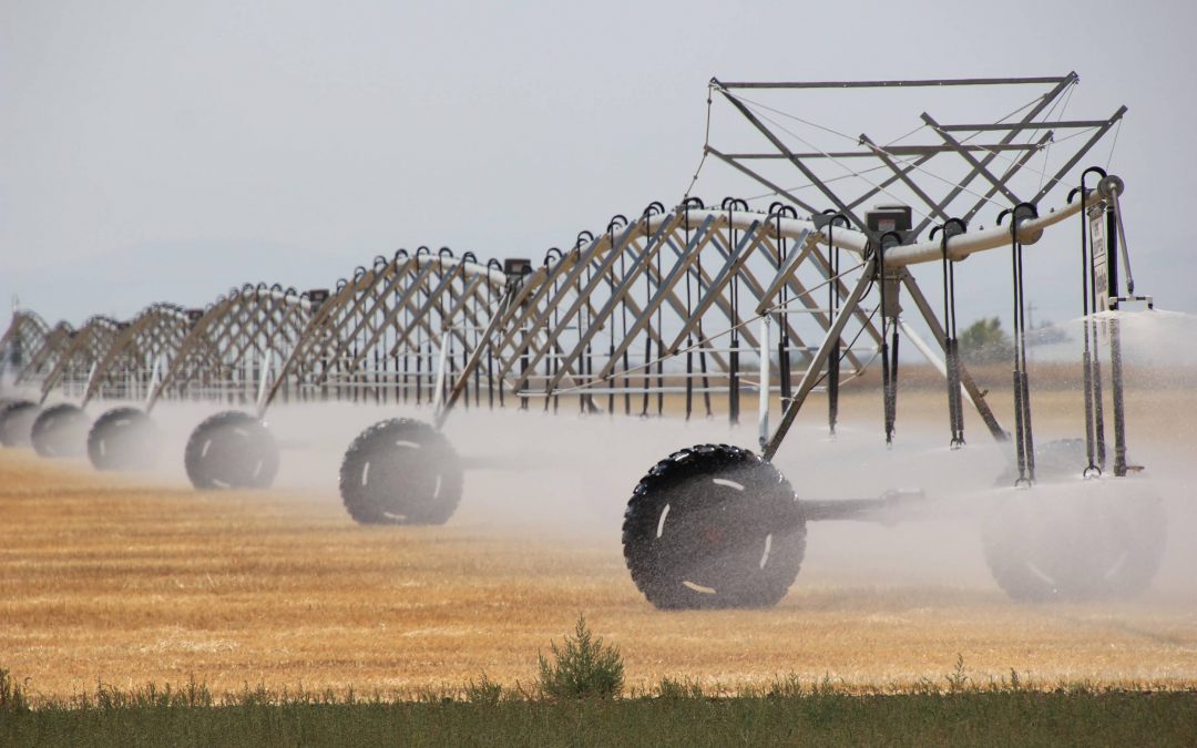 Colorado farmers, ranchers hit by double, triple whammy