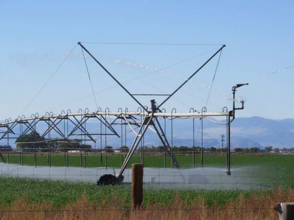 Hundreds of San Luis Valley farm wells at risk as state shortens deadline to repair Rio Grande