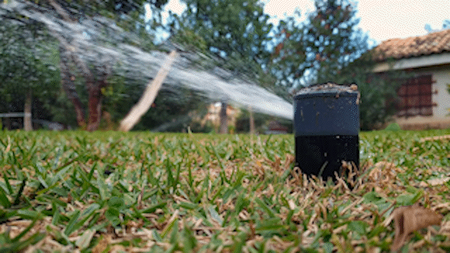 Cash for Grass: Colorado to pay for turf removal, boost water conservation