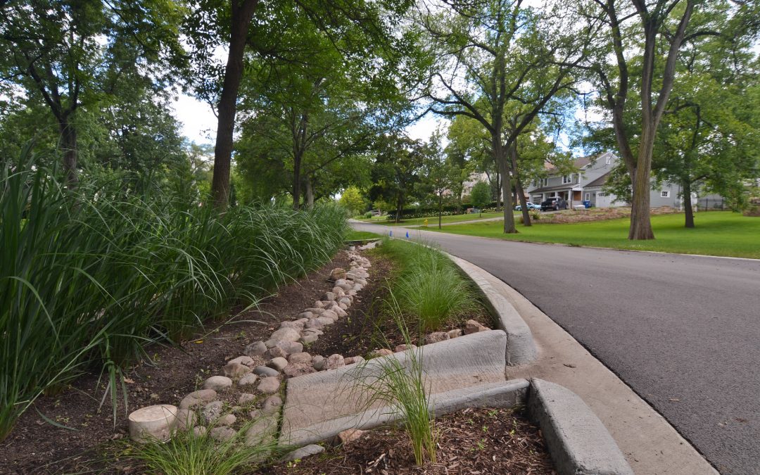 4 Best Management Practices for Colorado Stormwater Runoff