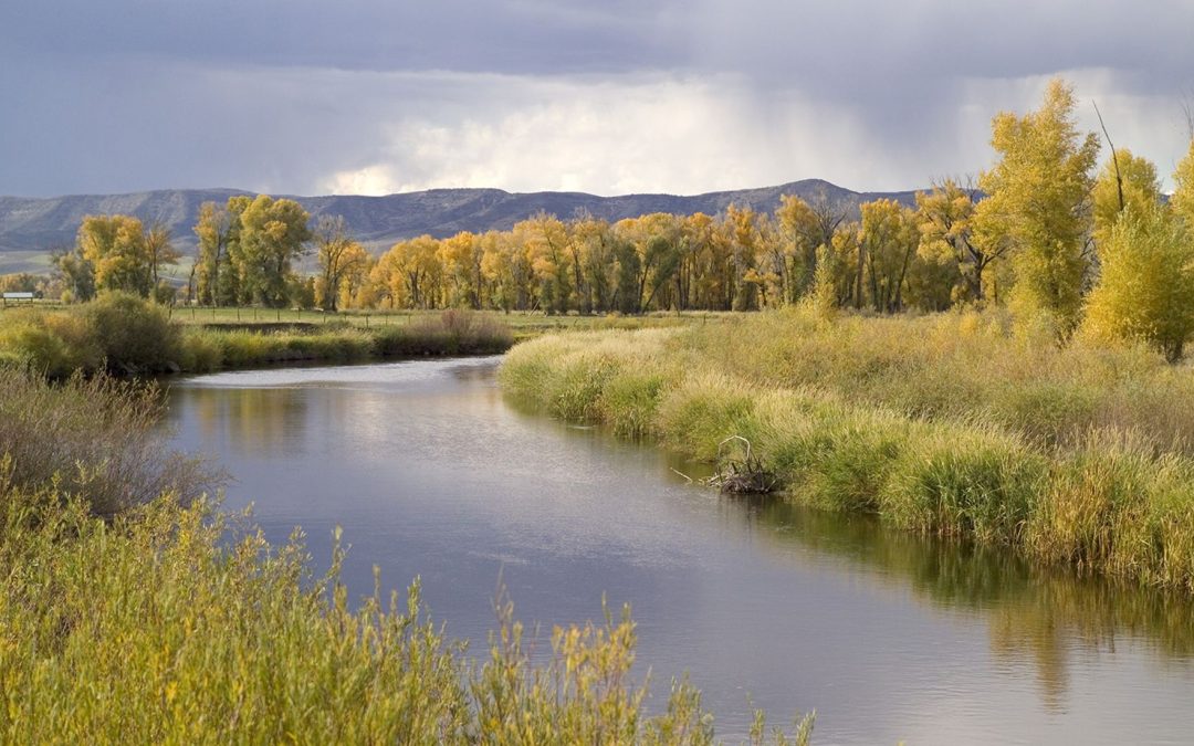 Colorado water users, environmentalists brace for changes as EPA, Supreme Court weigh wetland rules