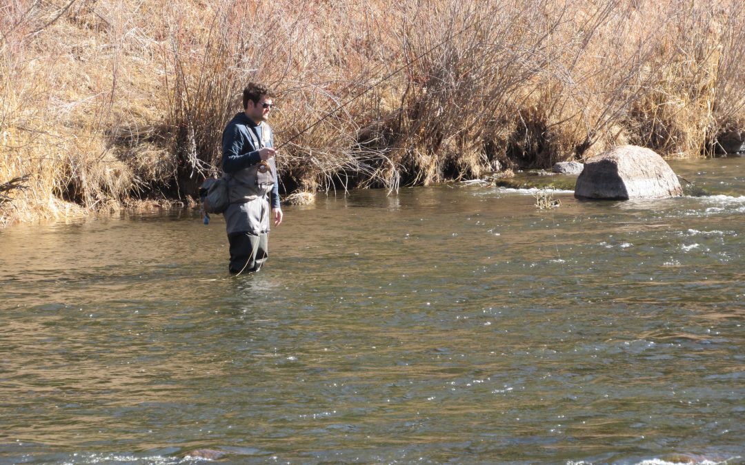 Denver Water launches permitting system for commercial anglers on prized stretch of S. Platte River