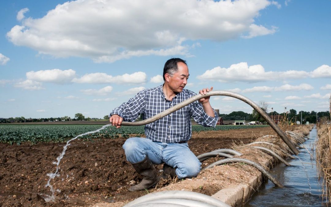 Water, farm veteran Sakata moves to transform his iconic Front Range produce empire