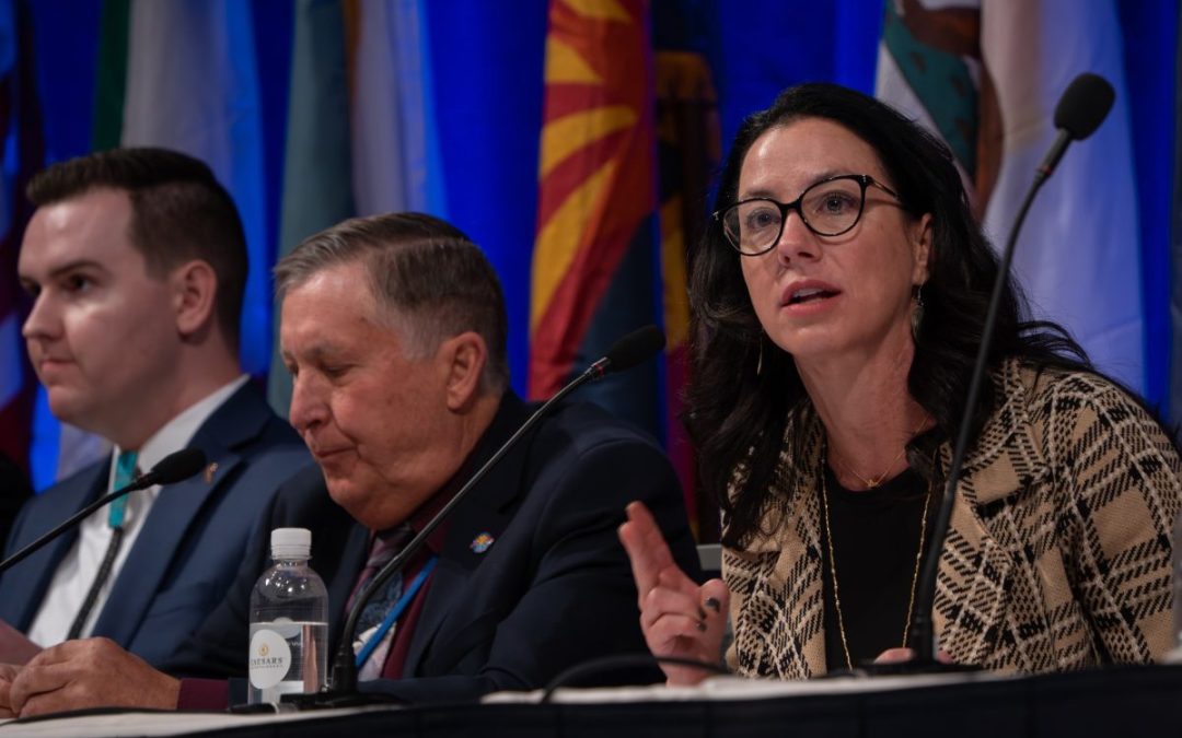 In tense Colorado River talks, Becky Mitchell takes a stand for Colorado and tribal water rights