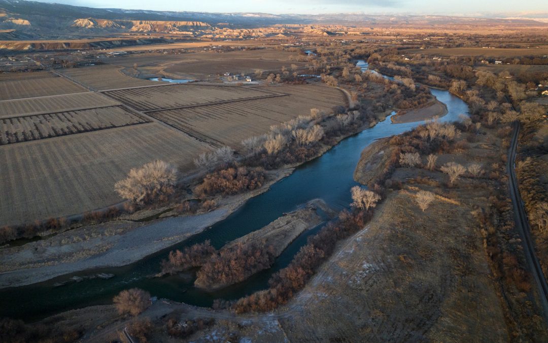 Dozens of Colorado farmers, ranchers and one city offer to cut Colorado River water use in exchange for $8.7M